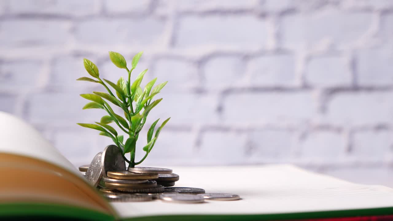 dinero creciendo en un libro