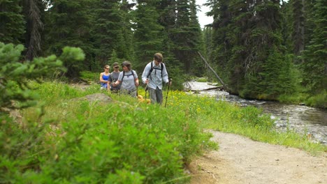 hikers walk toward the camera