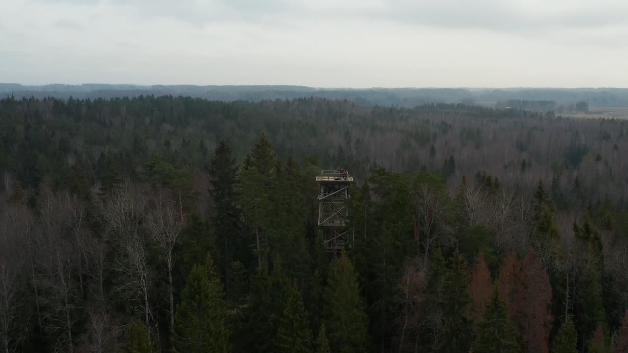 video panorámico de drones aéreos, girando a la izquierda, de una torre turística de madera en medio de un denso bosque de árboles mixtos