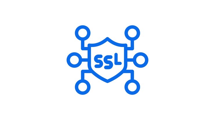 Geanimeerd SSL Beveiligingsschild en Netwerkverbindingen Icoon