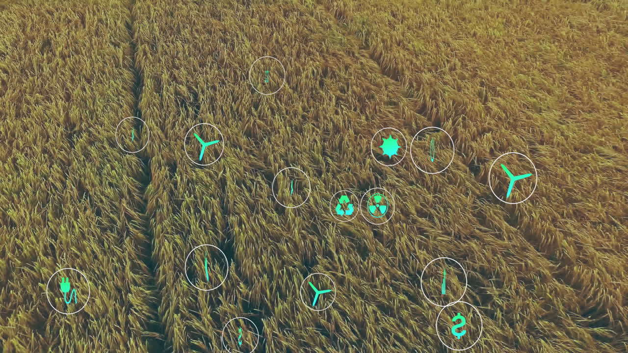 Golden crop field glowing under teal icons, highlighting energy recycling and finance metrics