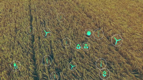 golden crop field glowing under teal icons, highlighting energy recycling and finance metrics