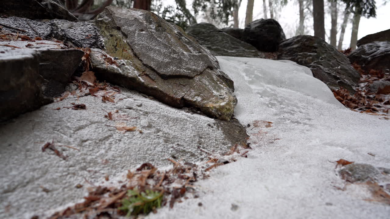 캐나다 겨울에 얼어붙은 강