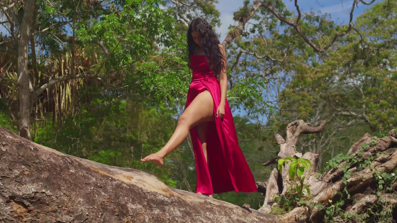 열대 카리브 해 공원은 은 드레스를 입은 젊은 라티나 소녀가 춤을 추면서 기으로 가득 차 있습니다.