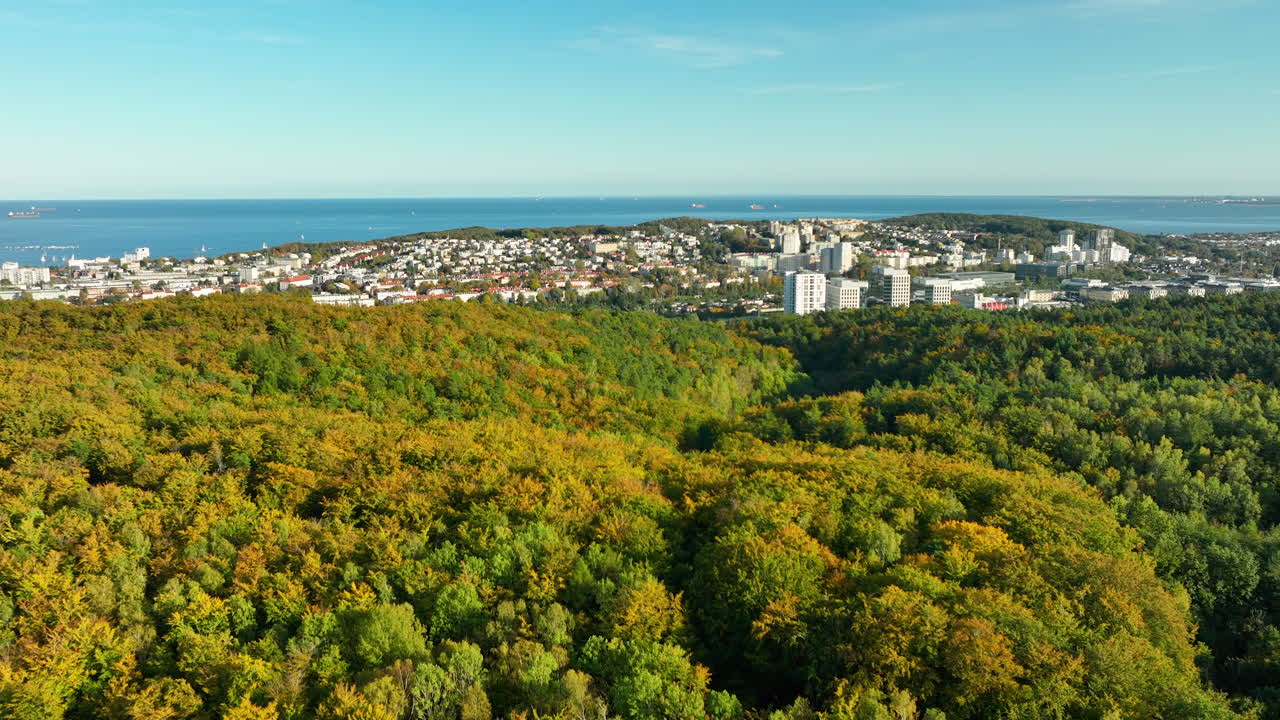 City nestled along the coastline with autumn forest in the foreground, expansive aerial view of urban and natural harmony