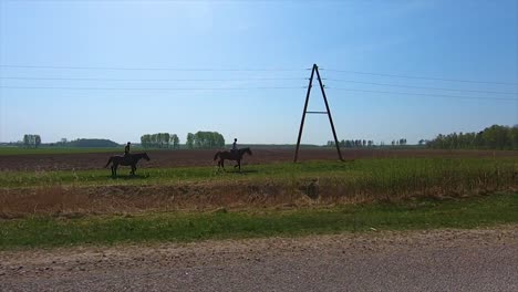 horses run on a green meadow next to an asphalt road