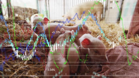 pink piglets nesting on golden straw displaying line graphs, candlestick bars in flat design