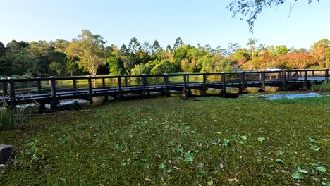 a serene view of lush greenery