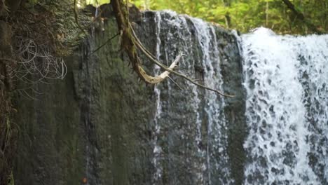 una imagen cercana del agua que fluye por un acantilado en un bosque en milton, ontario.