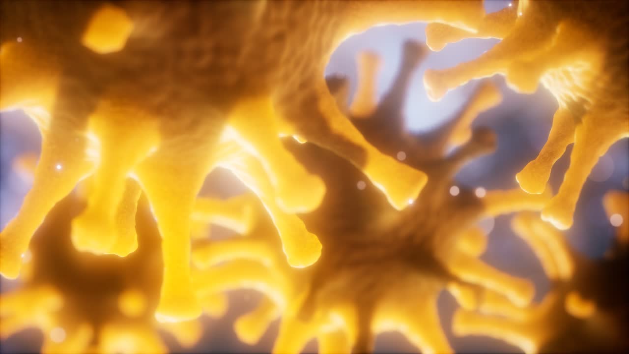 코로나 바이러스 ncov 호흡기 바이러스 개념