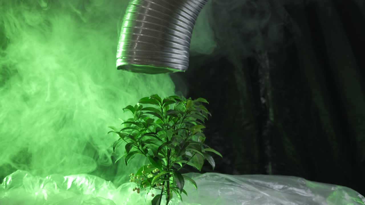 el calentamiento global, la contaminación industrial, la reutilización de los residuos