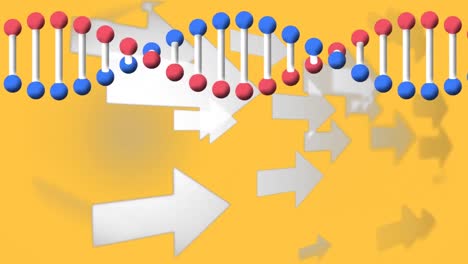 digital animation of dna structure spinning over multiple arrow icons against yellow background