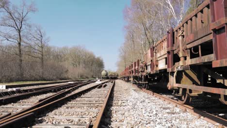 vagones de tren oxidados en las vías de un bosque