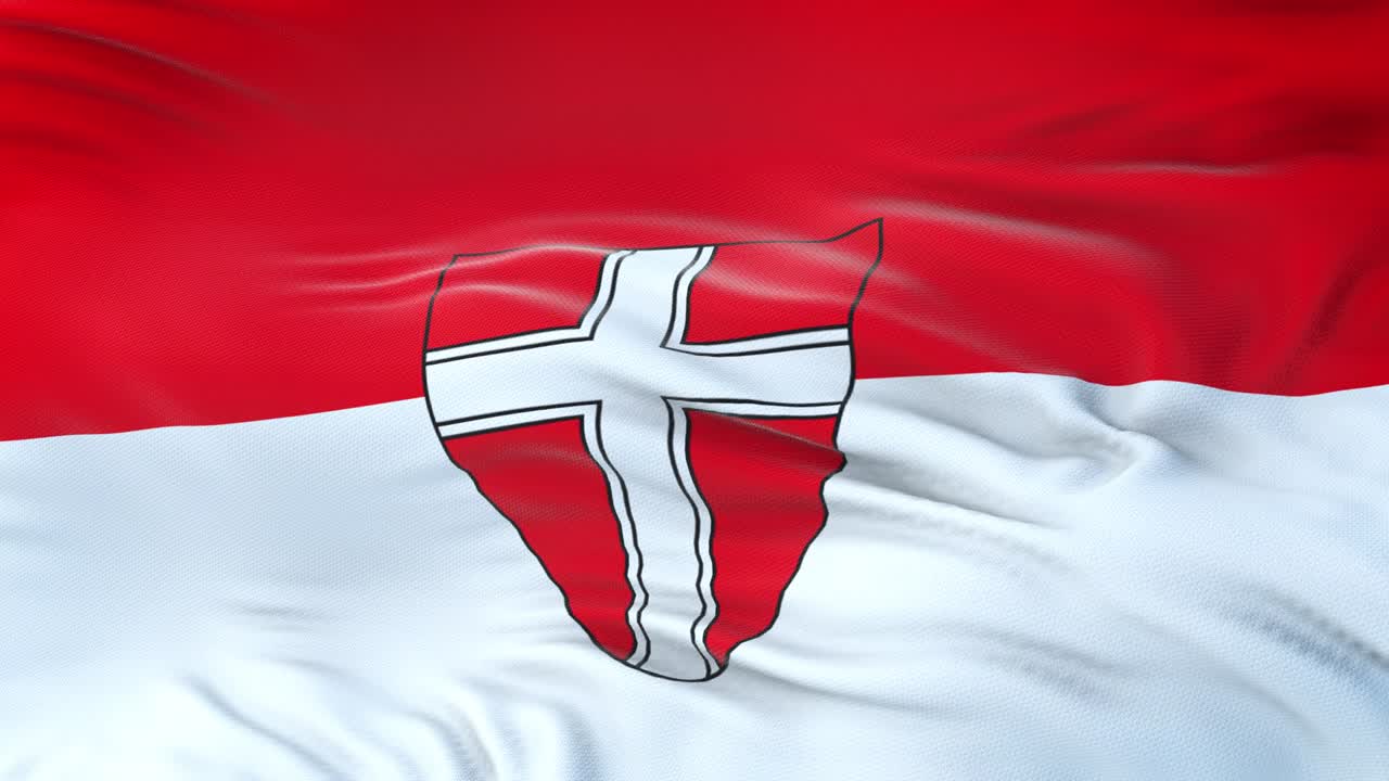 비엔나 (오스트리아 주) 발은 매우 상세한 직물 질감으로 바람에 흔들리고 있습니다.