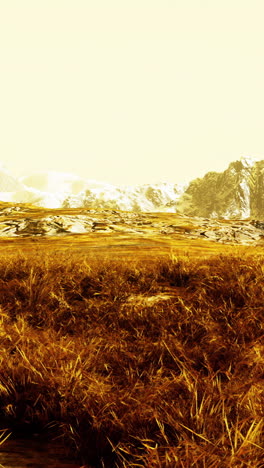 a view of grassy field with mountains in the background