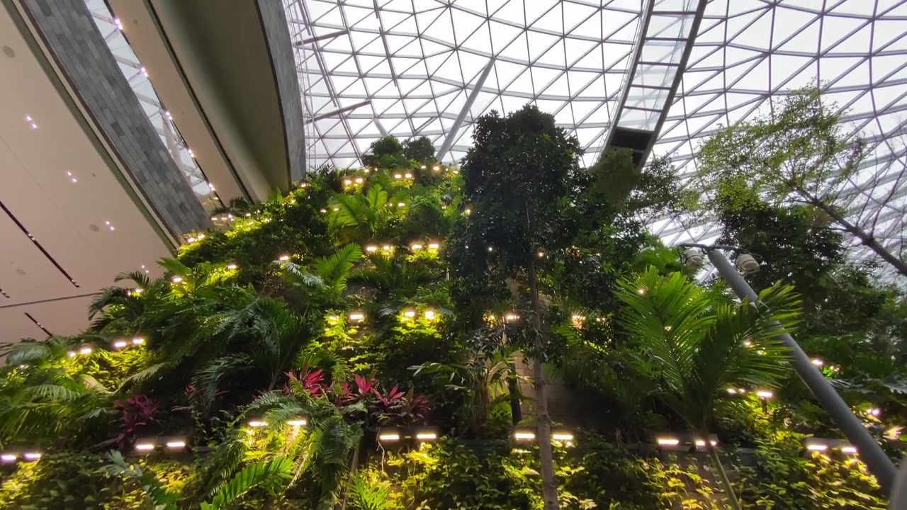 Bellissimo paesaggio della Shiseido Forest Valley vicino al famoso Rain Vortex all'aeroporto Jewel Changi a Changi, Singapore - ripresa con tilt verso l'alto
