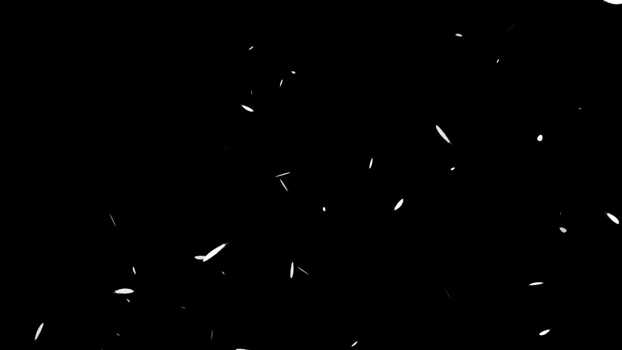 White feathers soaring particles motion graphics