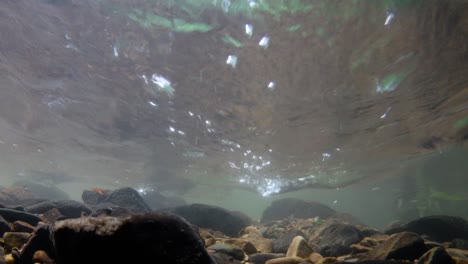 El-Parque-Nacional-Kaeng-Krachan-Es-El-Hogar-De-Muchos-Animales-Salvajes-Fantásticos-Y-Los-Arroyos-Son-Una-Fuente-De-Vida-De-Agua-Dulce-Para-Que-Los-Animales-Beban-Y-Los-Peces-Naden.