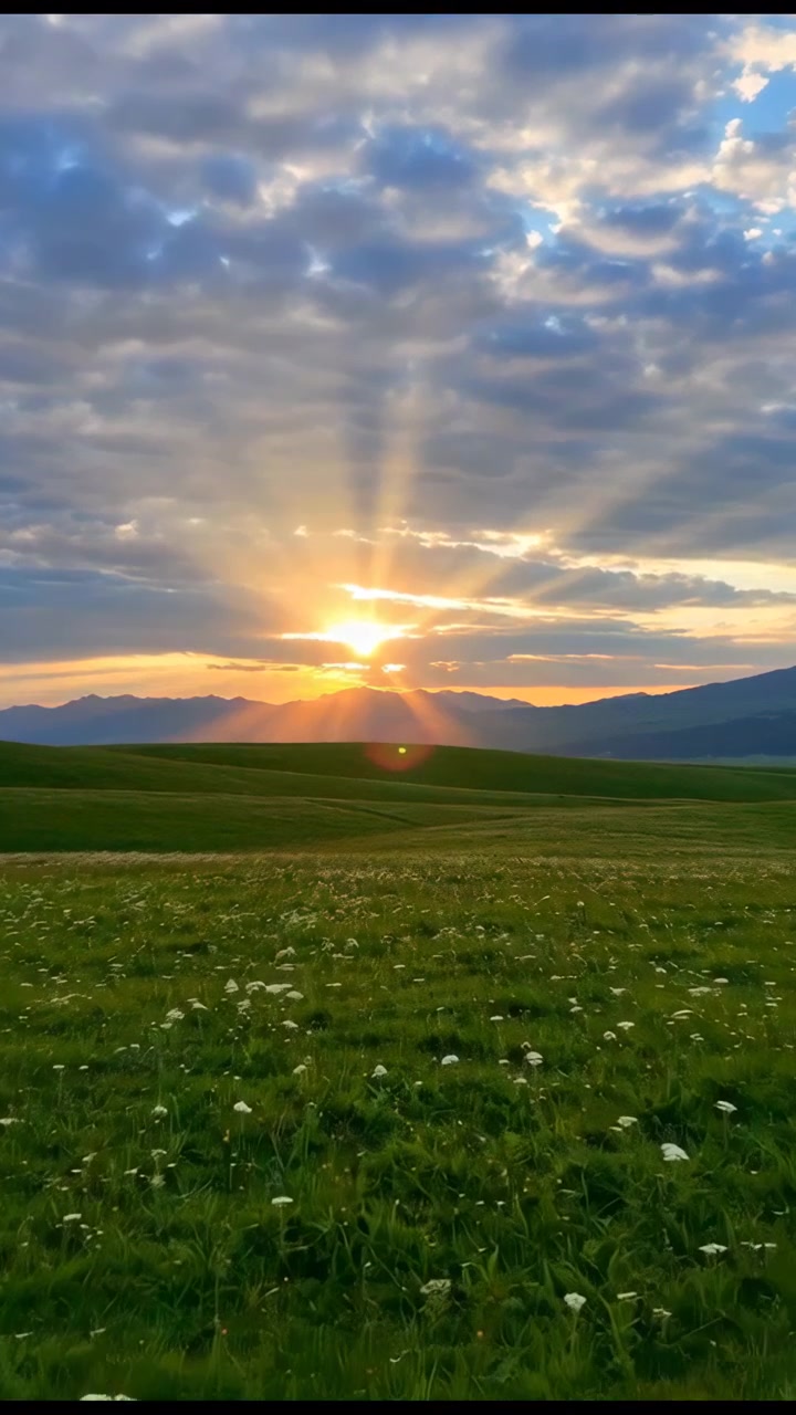 Varmt solnedgangslys gløder over fjerne bakker, med solstråler, der bryder igennem dramatiske skyer over en grøn eng og små vilde blomster i forgrunden.