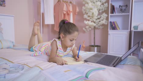 primary school student, home lesson.