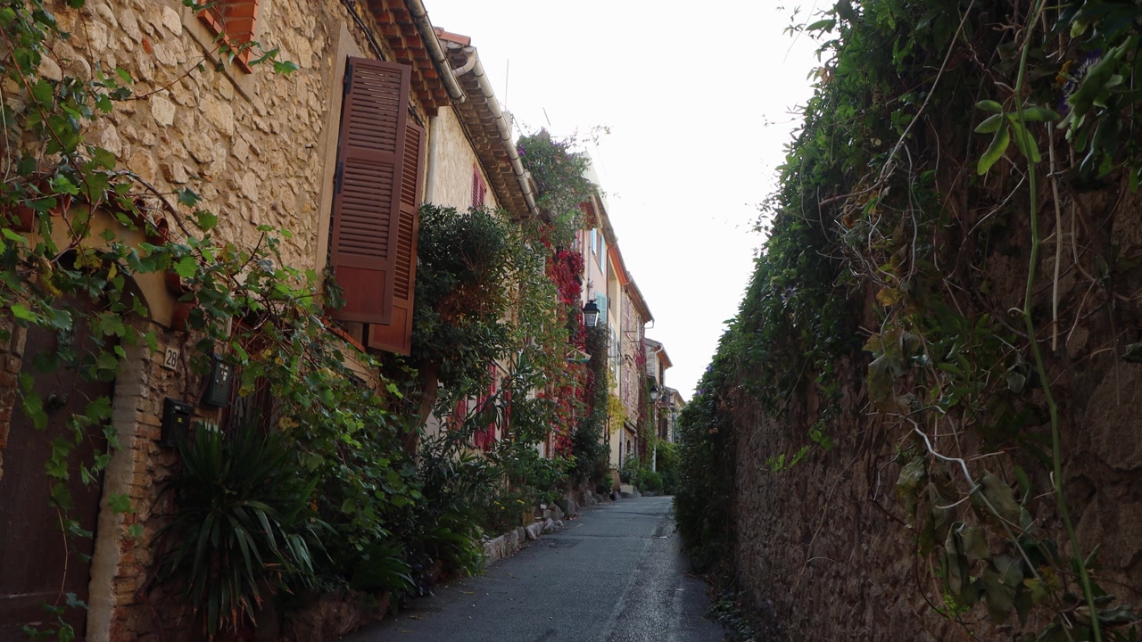 Vicolo stretto fiancheggiato da case in pietra e piante rampicanti ad Antibes.