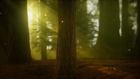 firefly-in-misty-forest-with-fog