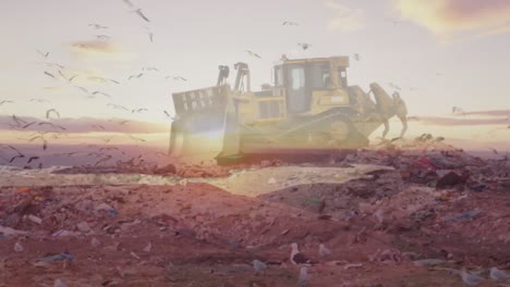 animation of birds flying over bulldozer in waste disposal site