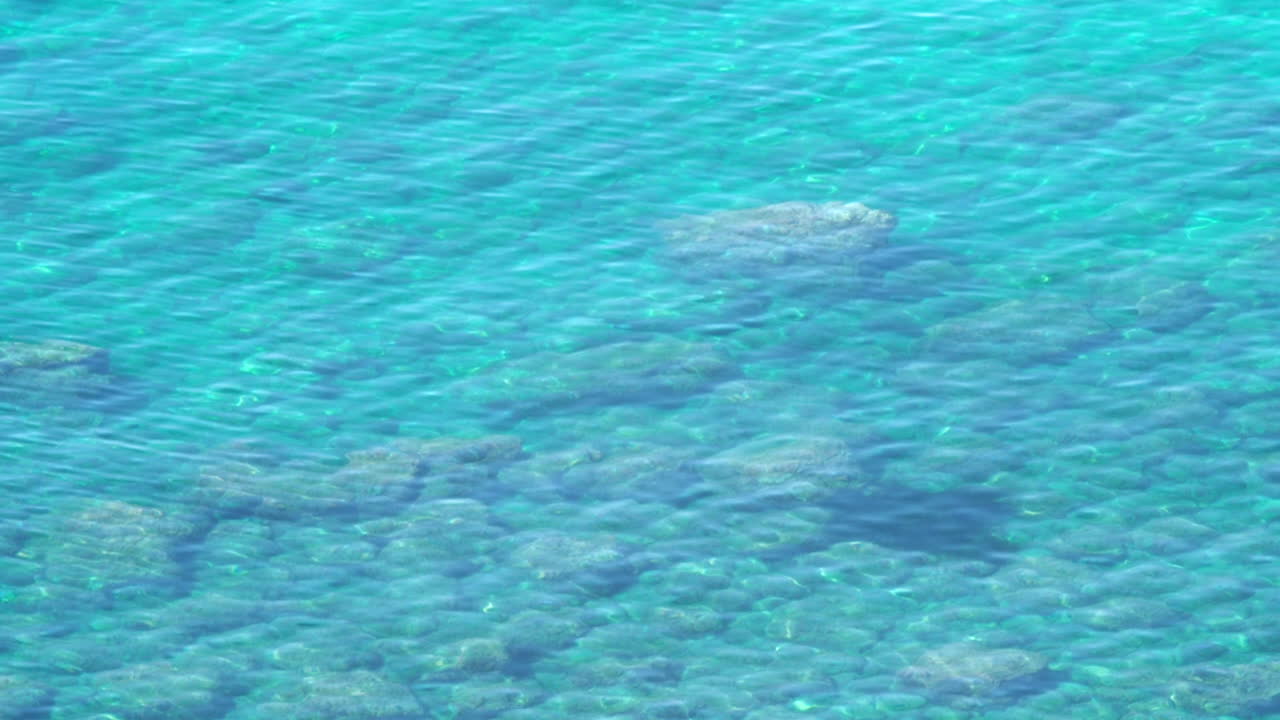 수중 바다 암초