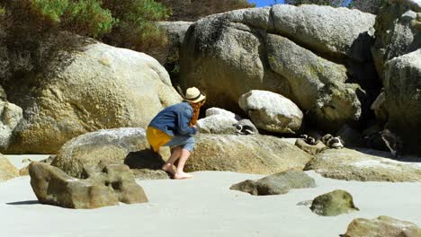 Woman-looking-at-penguin-in-the-beach-4k