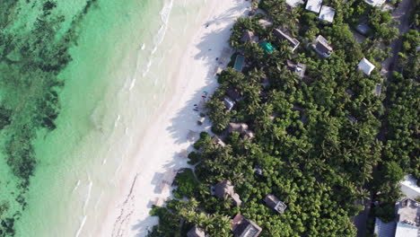 Aerial-Top-down-shot-of-rolling-waves-in-a-crystal-clear-ocean-with-a-white-sandy-beach