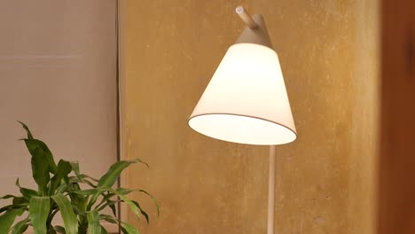 modern table lamp by a plant