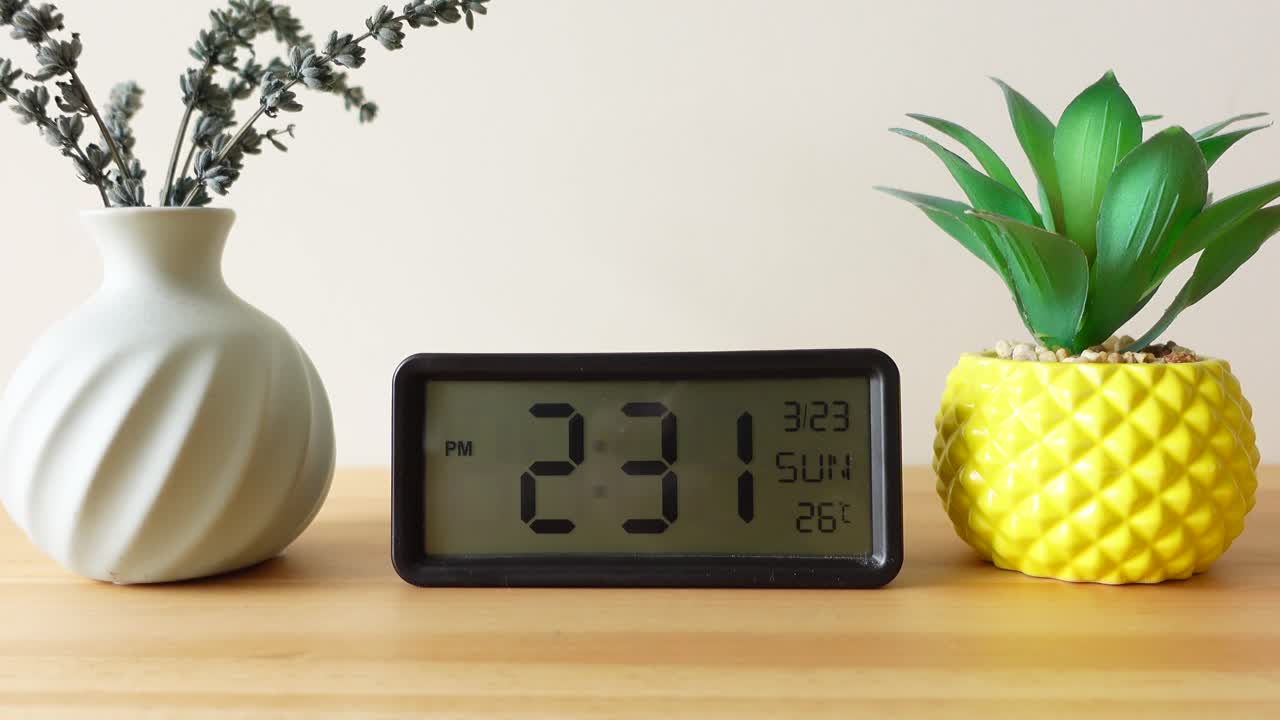 Digital Alarm Clock and Artificial Plant on Wooden Table