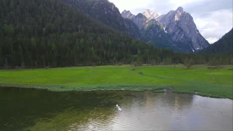 drone shot of great lake dobbiaco and green grass in toblacher see, south tyrol, italy