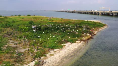 Flug-über-Bird-Island-In-Nueces-Bay,-Texas