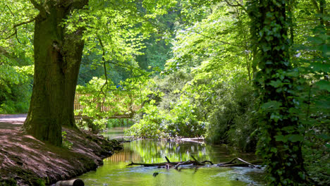 a uk country park's