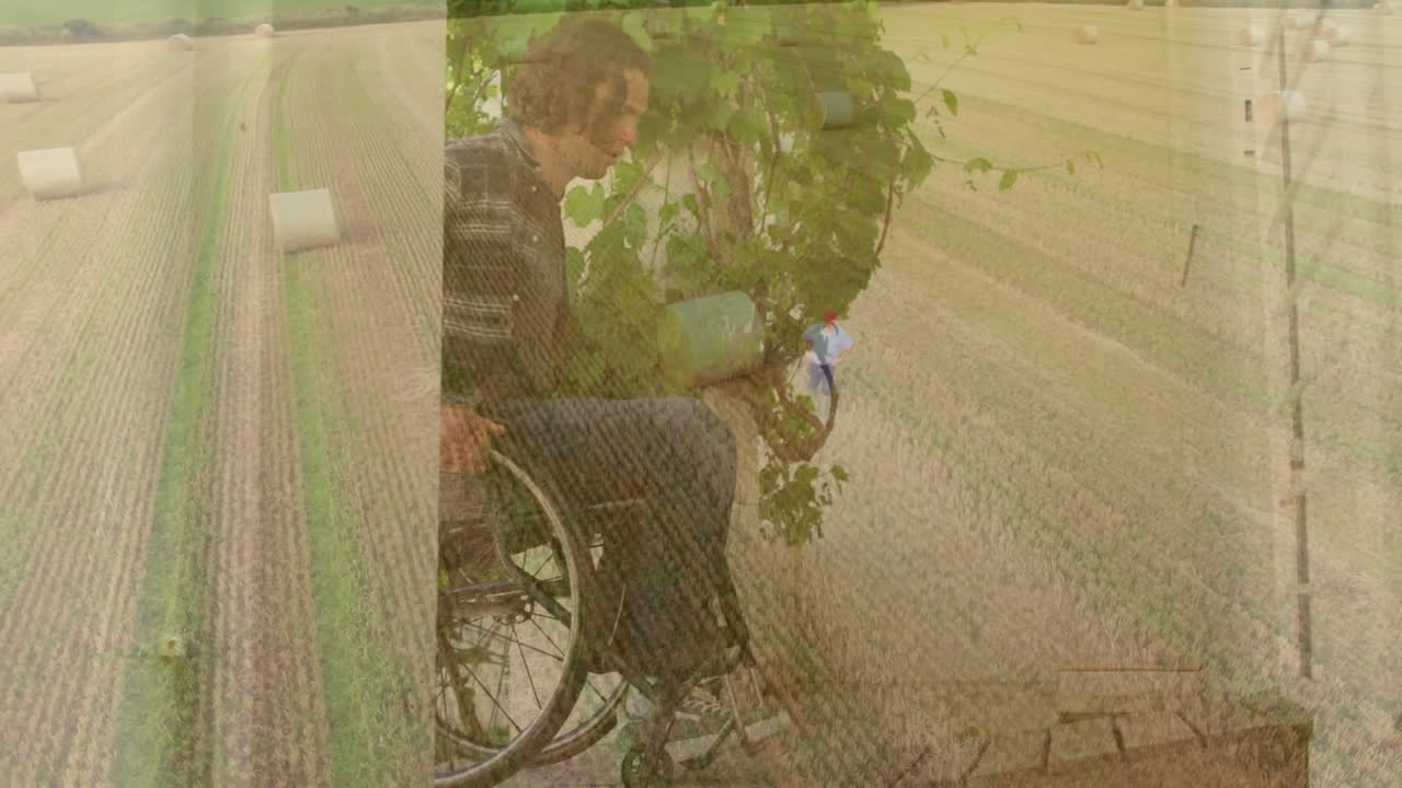 In field, man in wheelchair holding tablet, viewing animation of greenery