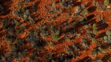 slow moving low aerial across a red earth australian outback landscape, birds eye view