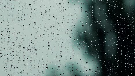 raindrops on a window with a blurred view of trees outside, creating a serene and rainy atmosphere