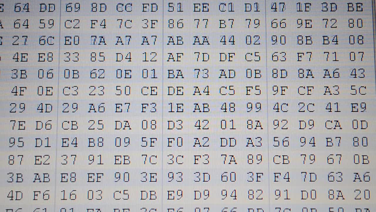 Code on the monitor, binary. Code and background, binary. Hexadecimal program code on screen. Animated background of moving binary code numbers