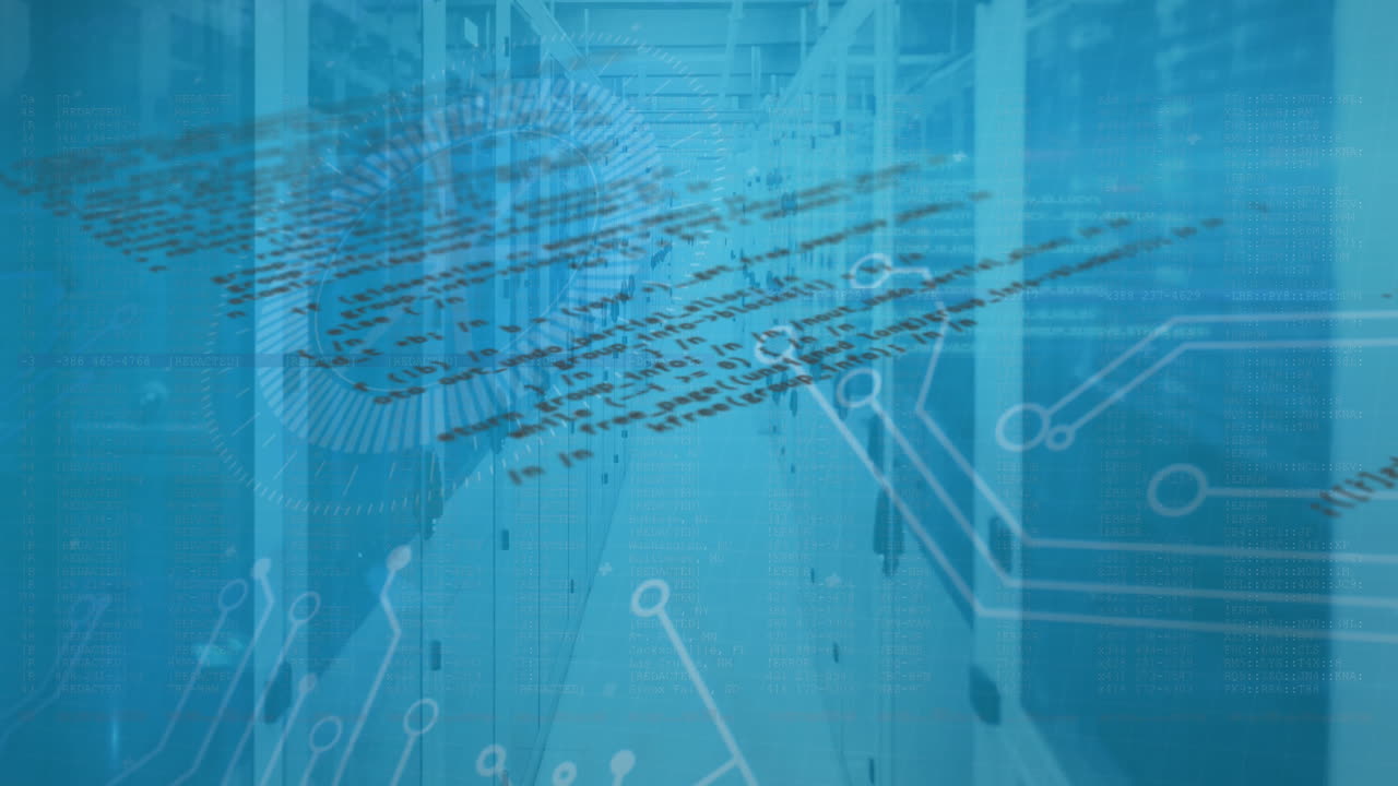 animación de placas de circuitos y procesamiento de datos a través de servidores informáticos