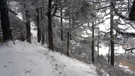 Die-Schönheit-Der-Schneebedeckten-Kiefern-Auf-Einem-Hügel-Im-Himalaya-gebirge-Mit-Gebetsfahnen