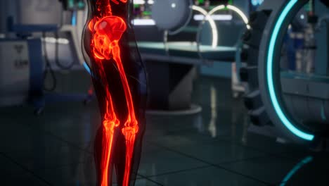 human skeleton bones scan exam in lab