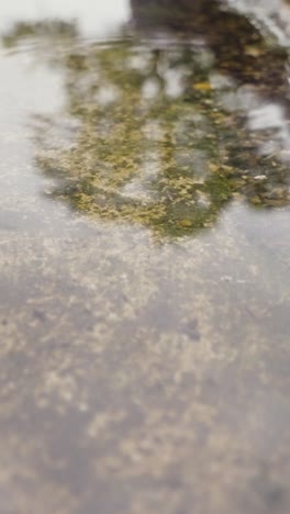 Vertikales-Video-Nahaufnahme-Von-Regen,-Der-In-Pfützen-Auf-Dem-Bürgersteig-Fällt