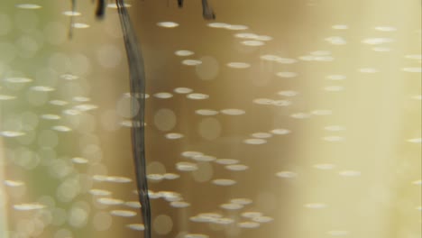 tinta en agua sin enfoque
