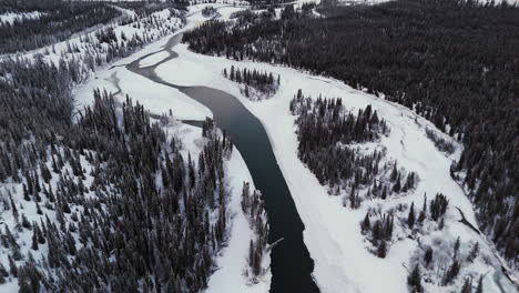 the takhini river in its frozen state, surrounded by coniferous forests during winter, in yukon, canada - aerial drone shot