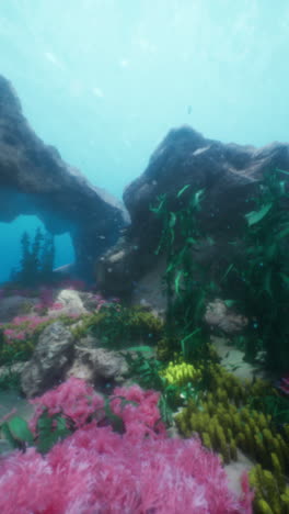 beautiful underwater scene with colorful coral reefs