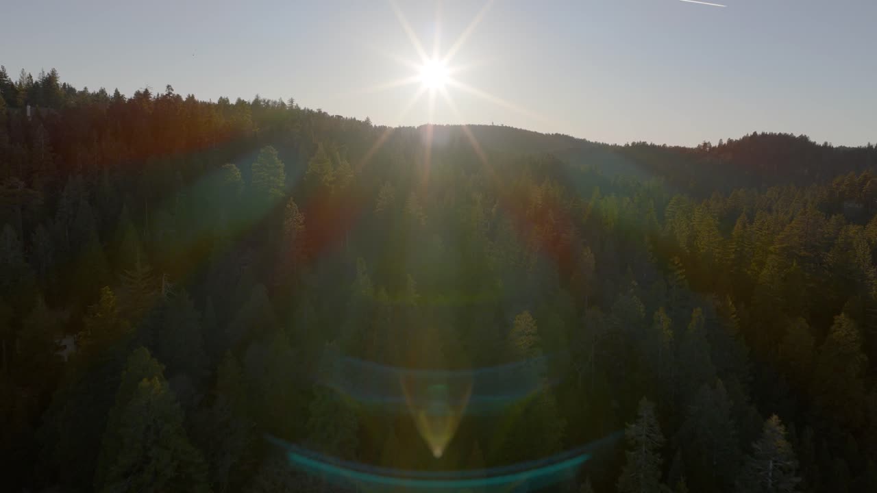Flygbild i Lake Arrowhead som flyger över trädtopparna mot solnedgången med objektivflare