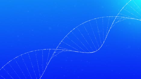Animation-Der-DNA-Struktur-Vor-Blauem-Hintergrund