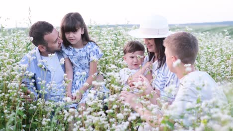 a young family in a buckwheat field a young family in a buckwheat field happy cute family children in the field resting together they hug and laugh a walk in the park