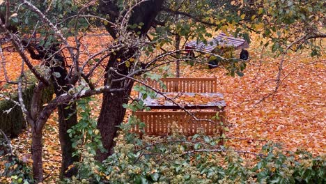 a table with two wooden benches and a deck chair stand in the backyard and the ground full of autumn leaves